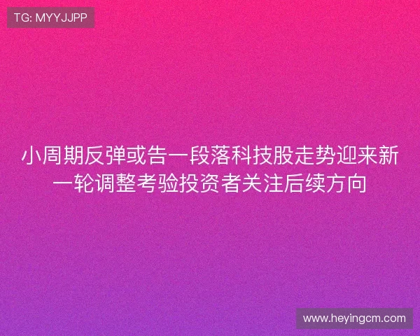 小周期反弹或告一段落科技股走势迎来新一轮调整考验投资者关注后续方向